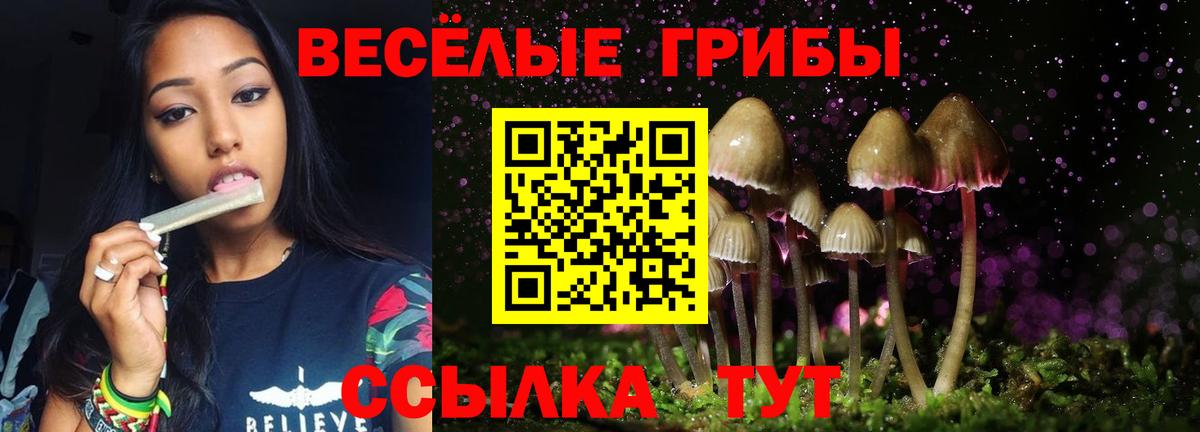 Псилоцибиновые грибы GOLDEN TEACHER Белореченск